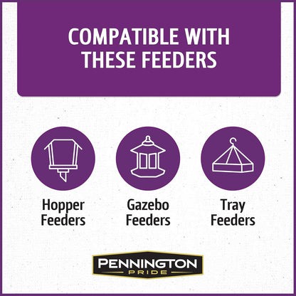 Pennington Pride Songbird Nut & Fruit Blend, Wild Bird Seed for Outside Feeders, Advanced Nutrition