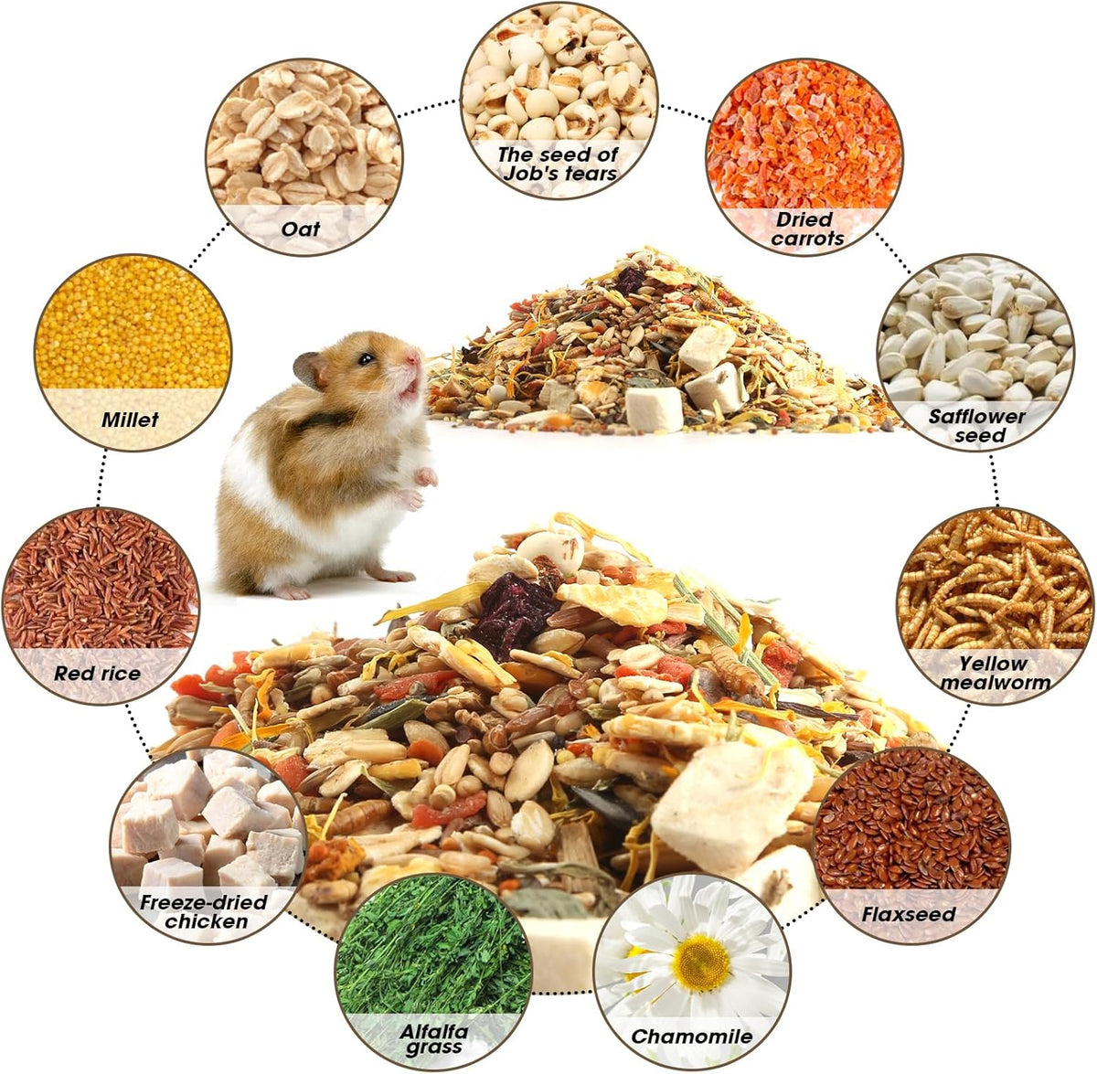 Gourmet Hamster & Gerbil Food, Dry Food for Hamsters-Supports Healthy Digestion and Healthy Teeth
