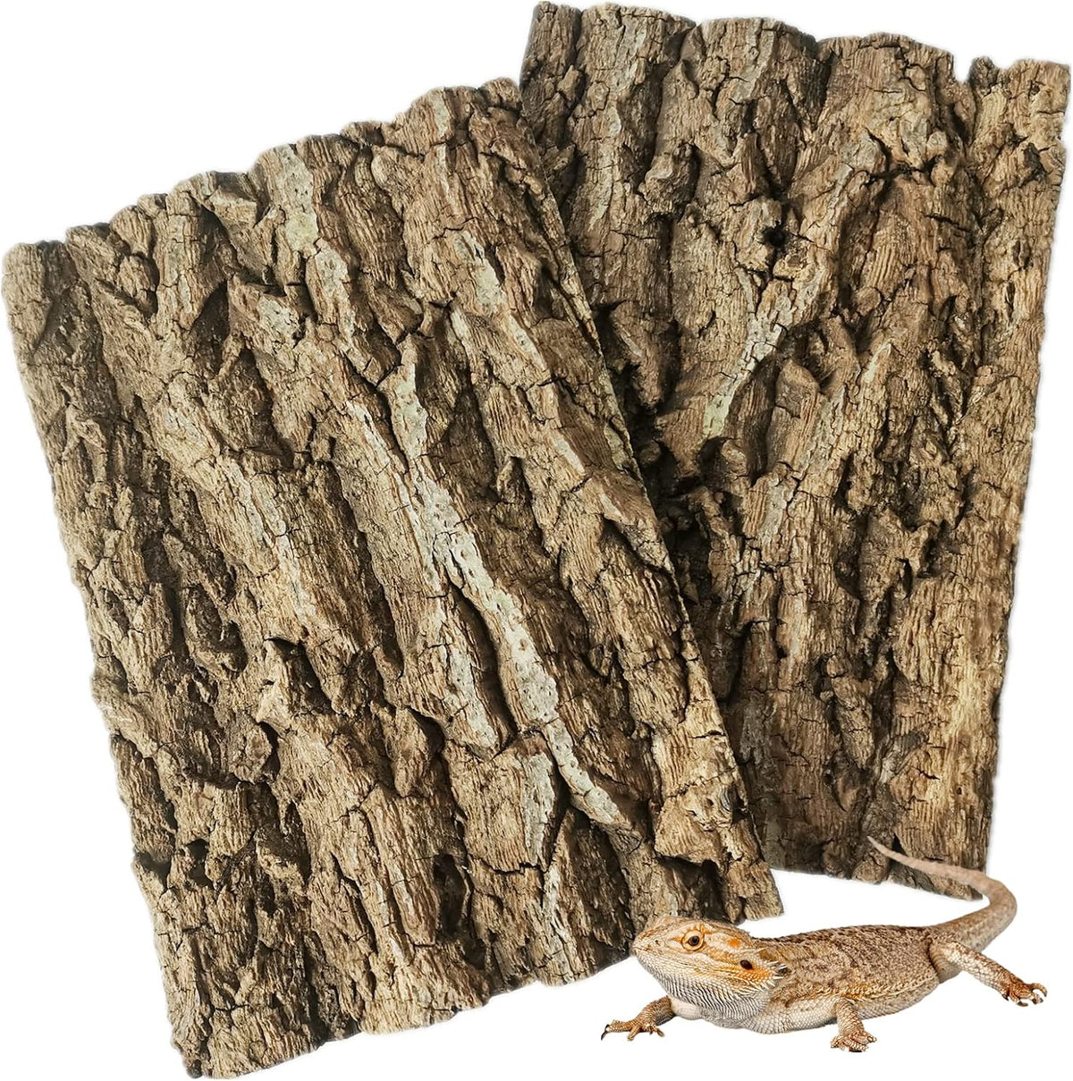 Fhiny 2 PCS Cork Bark Background, 11.6" x 7.7" Natural Cork Bark for Reptiles Tank Backdrop Reptile