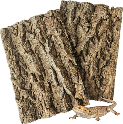 Fhiny 2 PCS Cork Bark Background, 11.6" x 7.7" Natural Cork Bark for Reptiles Tank Backdrop Reptile