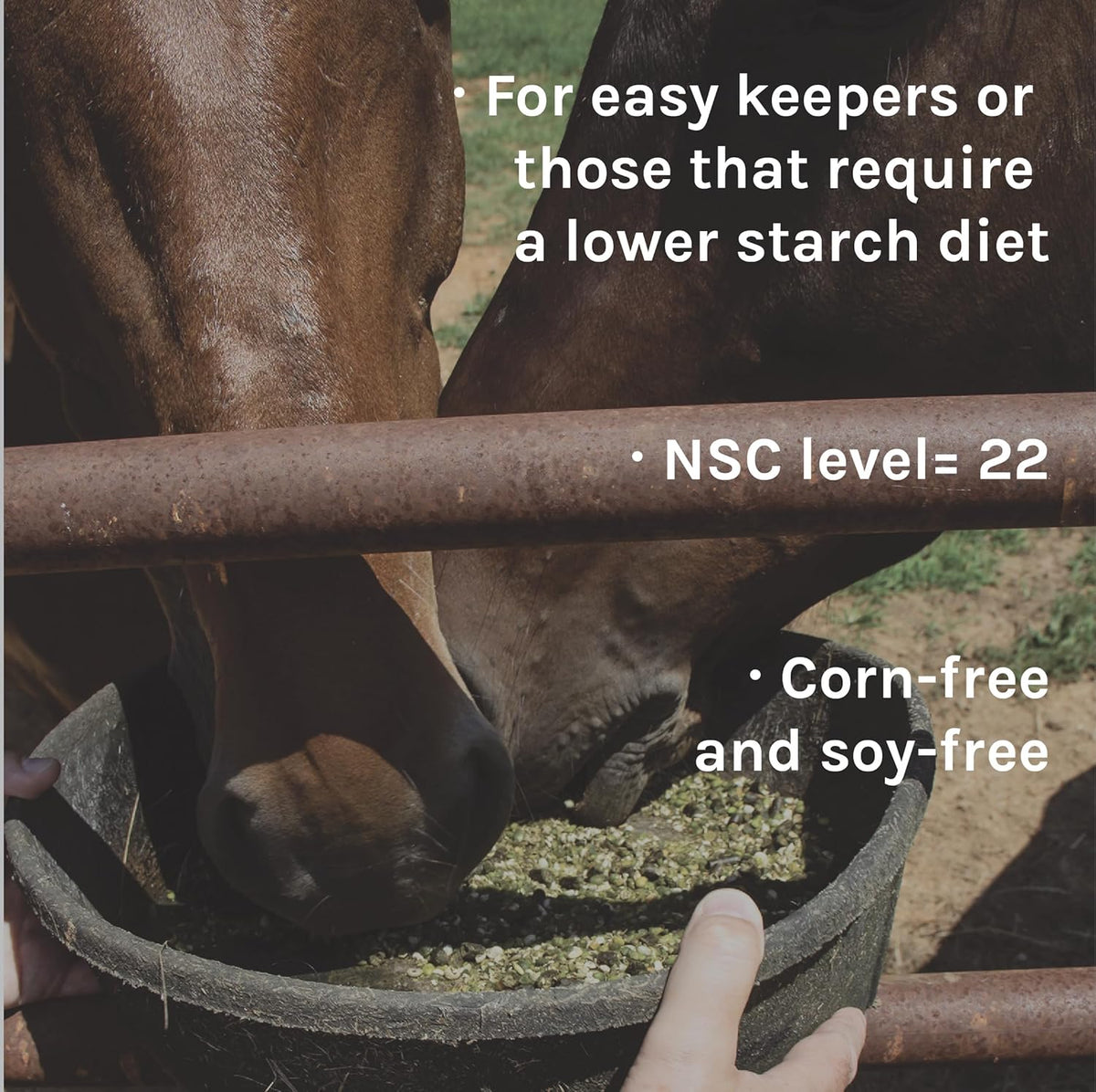 New Country Organics | Low Starch Horse Feed | Horse Food for Horses with Metabolic Disorders or