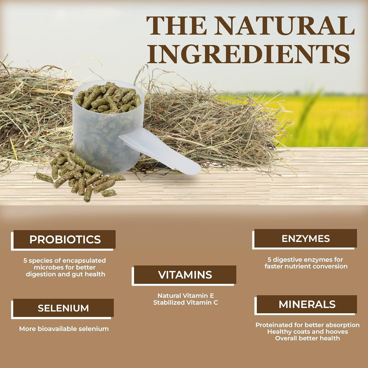 Equerry's Economy Equine Supplement - Horse Probiotics | Supplement for Horses | Horse Vitamins and