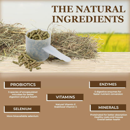 Equerry's Economy Equine Supplement - Horse Probiotics | Supplement for Horses | Horse Vitamins and
