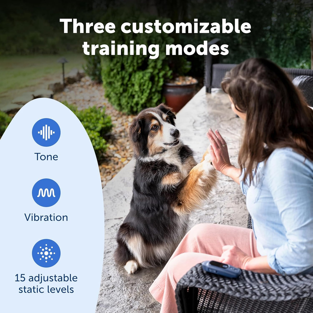 PetSafe Core Dog Trainer with Remote – Waterproof Training Collar – 1000 Foot Range – Tone