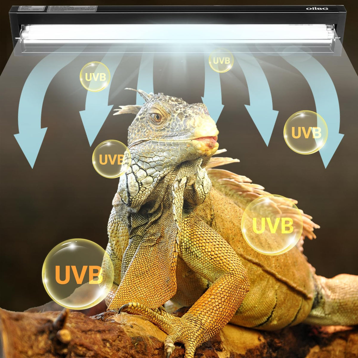 Oiibo T5 HO Reptile Light Fixture UVB Lighting Combo Kit, Terrarium Lamp Hood Light with UVB 10.0