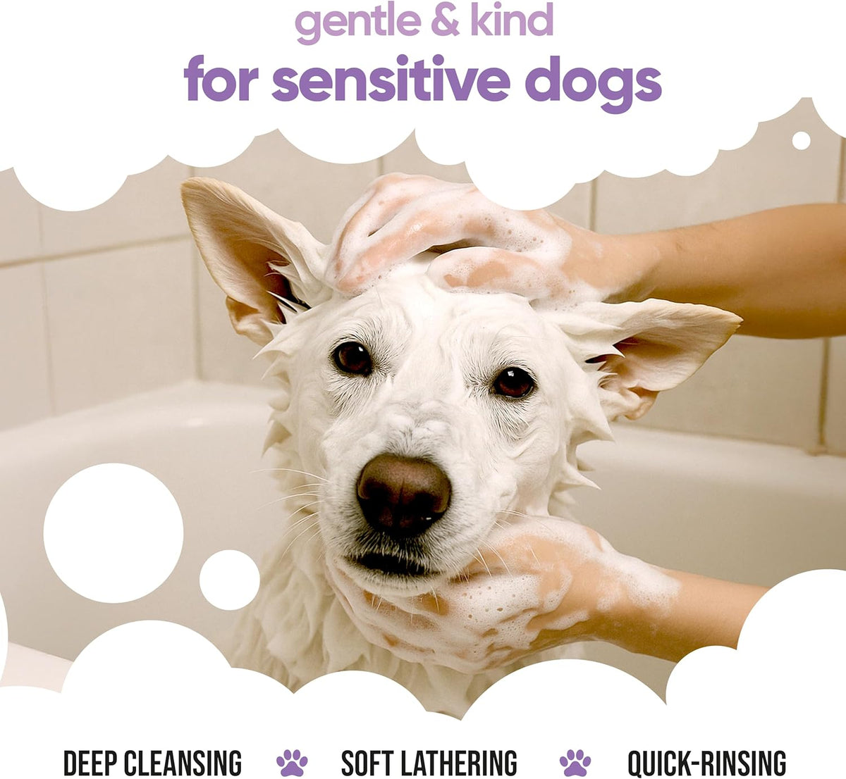 White Dog Shampoo by Buddycare (33.8oz) | Brightening and Whitening Shampoo for Dogs | Deep