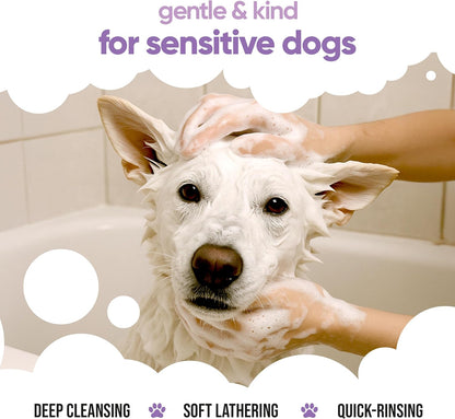 White Dog Shampoo by Buddycare (33.8oz) | Brightening and Whitening Shampoo for Dogs | Deep