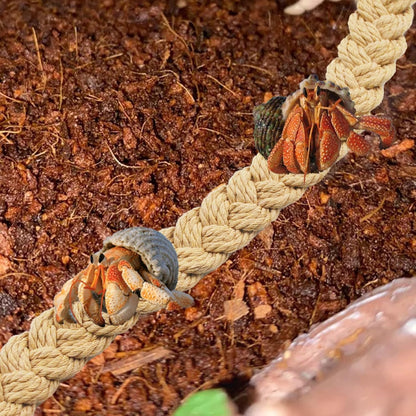 2PCS Hermit Crab Climbing Toys,Hermit Crab Rope Ladder Decor Reptile Hanging Vines Toys Hermit Crab