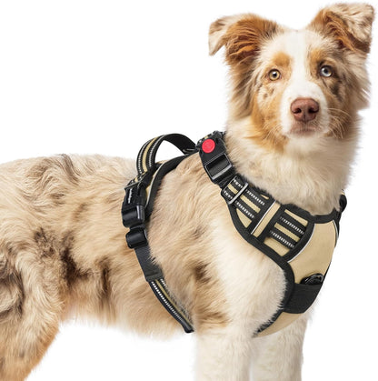 rabbitgoo Dog Harness Medium Sized, No Pull Pet Harness with 3 Buckles, Adjustable Soft Padded Vest