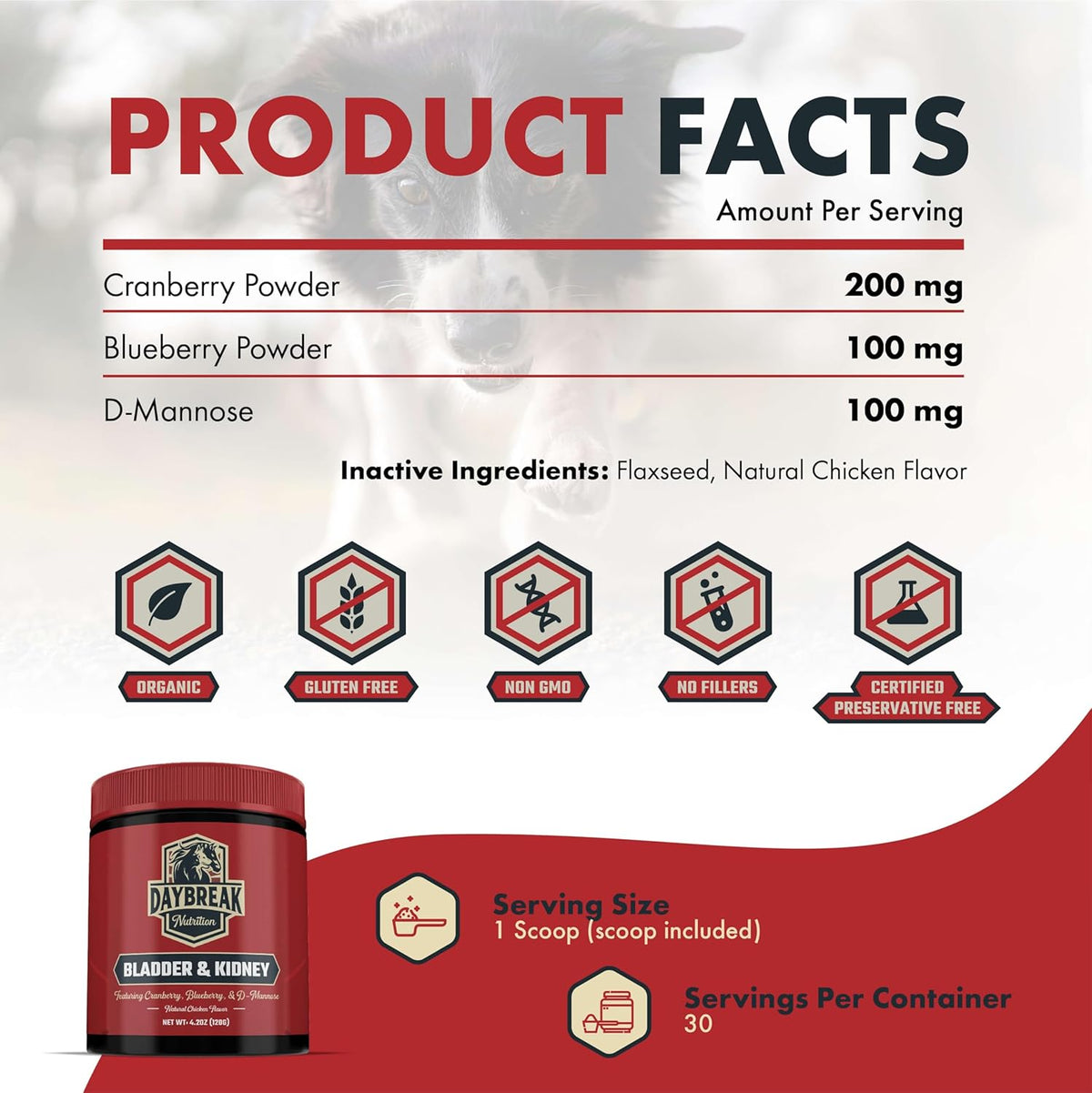 Bladder and Kidney Relief for Dogs & Cats by Daybreak Nutrition | Powder Cranberry Supplement for