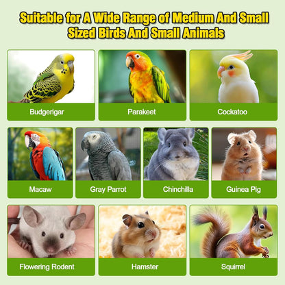 2PCS 13.8x7.9 inches Large Bird Perch Stand Wooden Parakeet Stand Platform Parrot Cage Accessories