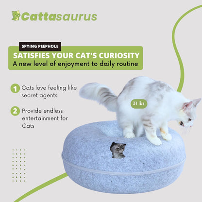 CATTASAURUS Peekaboo Cat Cave for Multiple & Large Cats Up to 30-45 Lbs, Scratch Detachable &