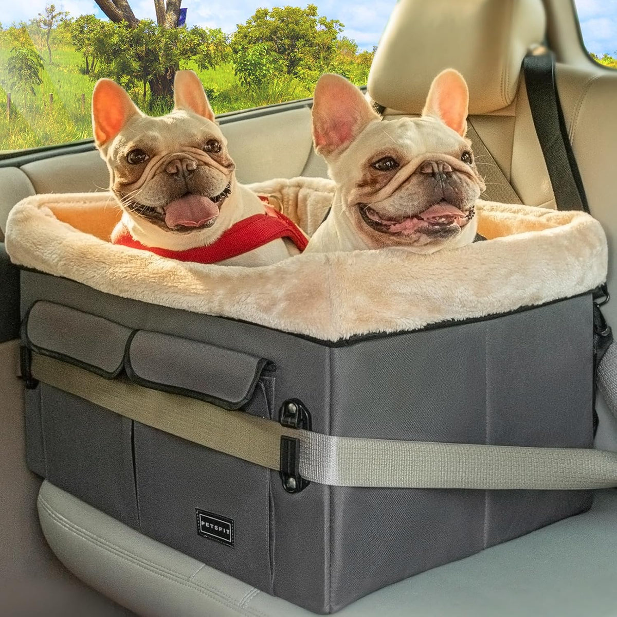 Petsfit Dog Car Seat for Medium Dogs or 2 Small Dogs, Upgraded Dog Booster Car Seat for Front and