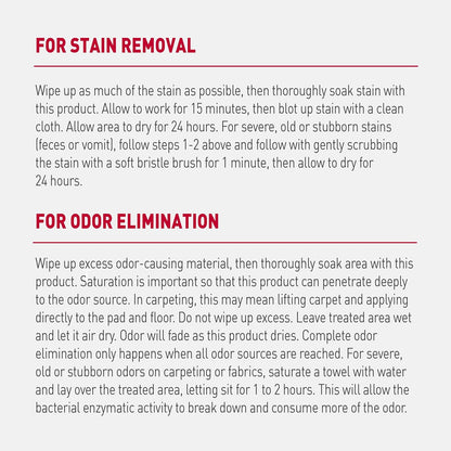 Nature's Miracle Advanced Dog Stain and Odor Eliminator Foam, Severe Mess Enzymatic Formula, 17.5