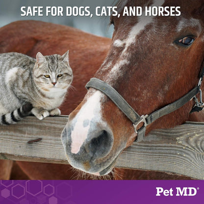 Pet MD Micoseb-CX Topical Shampoo for Dogs, Cats, & Horses with Miconazole - 12 oz