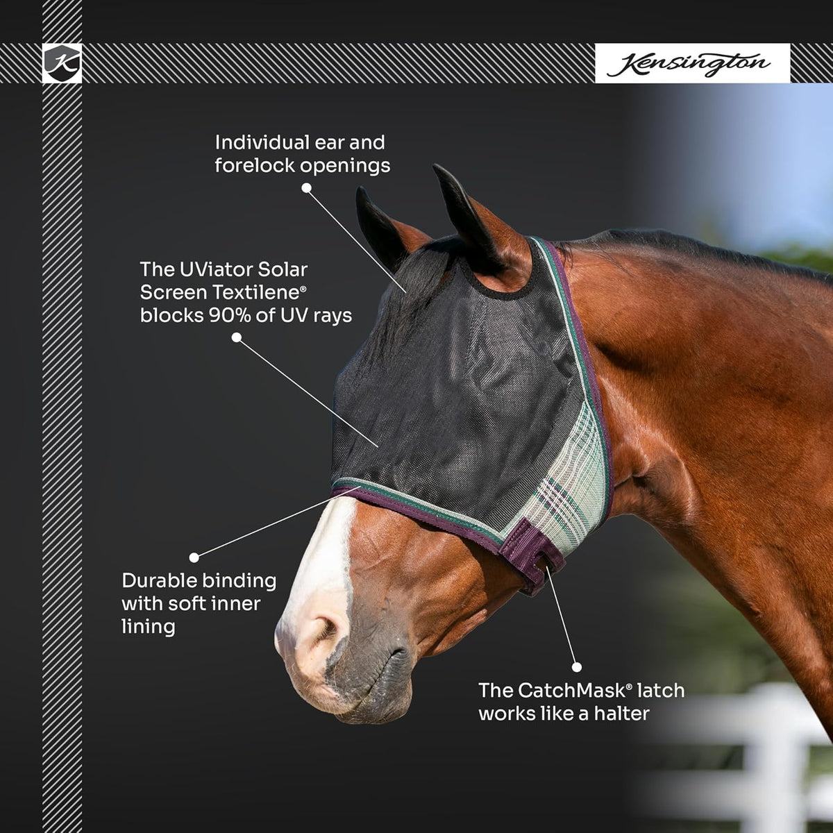 Kensington 90% UV Fly Mask Halter CatchMask UViator - Without Ears & Forelock Freedom Web Trim