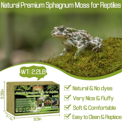 Halatool 2.2LB Natural Sphagnum Moss for Reptiles- 50QT Green Live Moss for Terrarium Plants Long