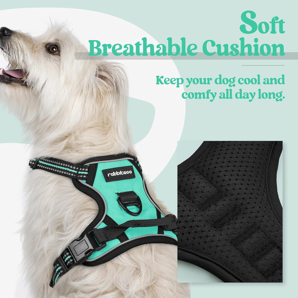 rabbitgoo Dog Harness No Pull with 2 Leash Clips, Adjustable Soft Padded, Reflective Oxford No