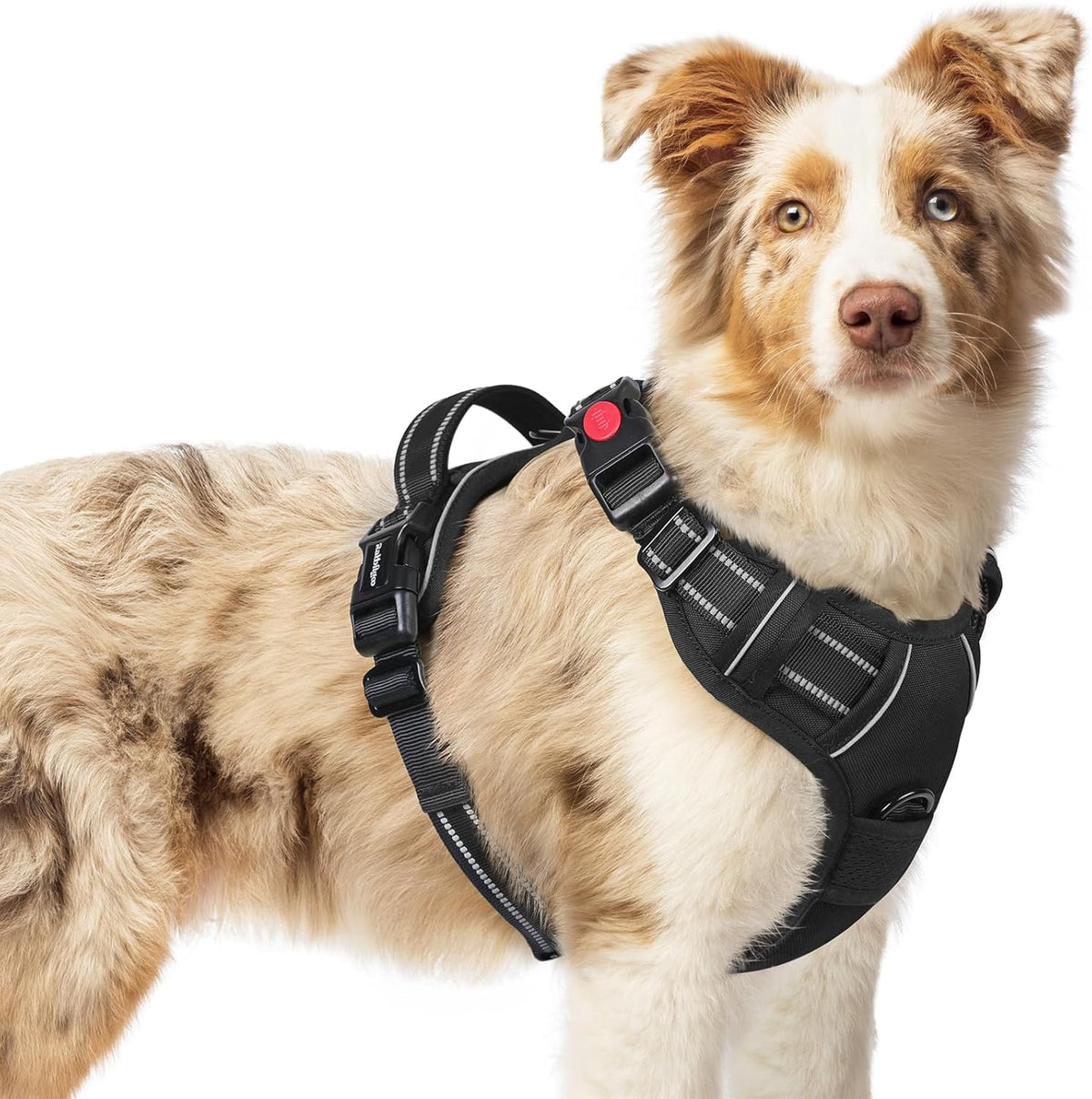 rabbitgoo Dog Harness Medium Sized, No Pull Pet Harness with 3 Buckles, Adjustable Soft Padded Vest