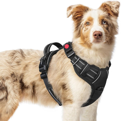 rabbitgoo Dog Harness Medium Sized, No Pull Pet Harness with 3 Buckles, Adjustable Soft Padded Vest