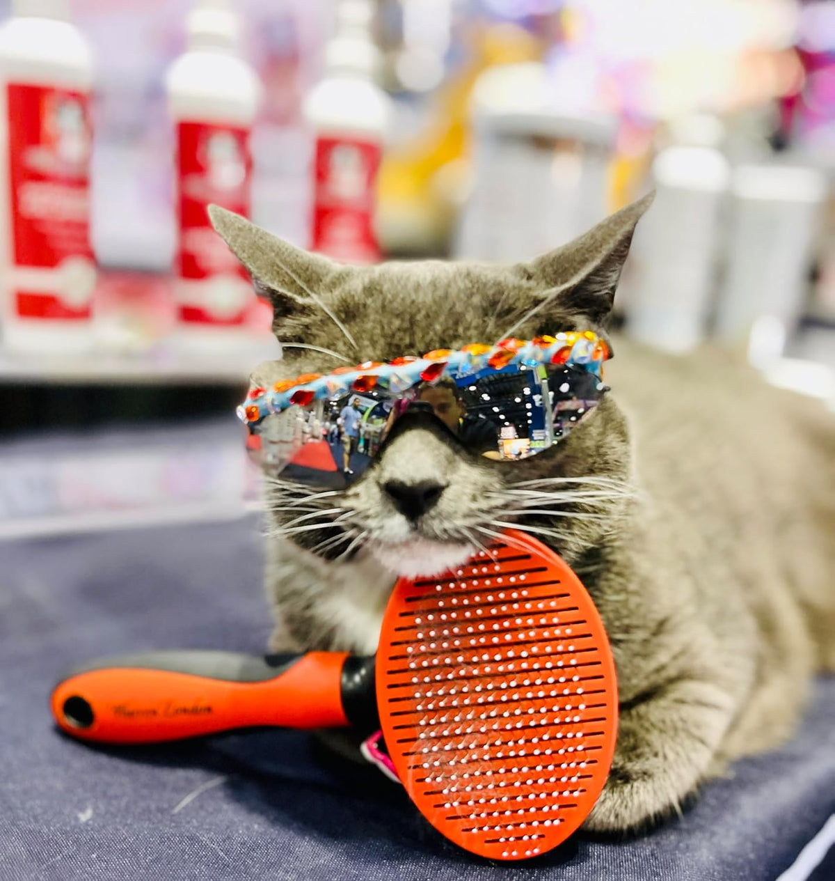 Warren London Self-Cleaning Cat Pin Brush | Push-Button Fur Ejector, Bead-Tipped Nylon Pins