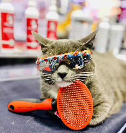 Warren London Self-Cleaning Cat Pin Brush | Push-Button Fur Ejector, Bead-Tipped Nylon Pins