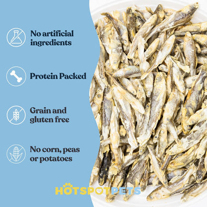 hotspot pets Freeze Dried Minnows Treats for Cats & Dogs (1 Pound Bag Over 1800 PCS!) (Made in USA)
