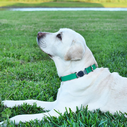 Dogline Biothane Waterproof Dog Collar with Herm Sprenger Stainless Steel Quick Release Buckle