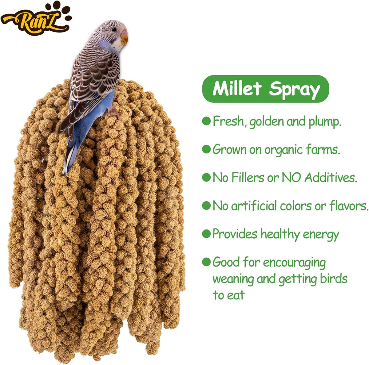 RANZ 5LBS Millet Spray for Birds, GMO-Free, Sun Dried Spray Millet, Original Bird Treats &