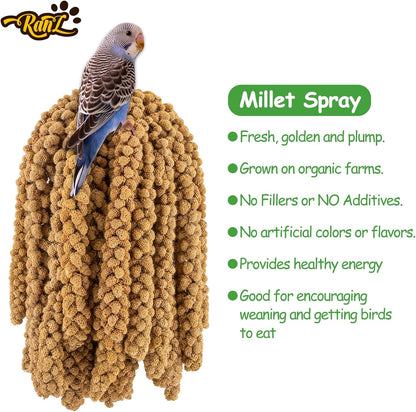 RANZ 5LBS Millet Spray for Birds, GMO-Free, Sun Dried Spray Millet, Original Bird Treats &