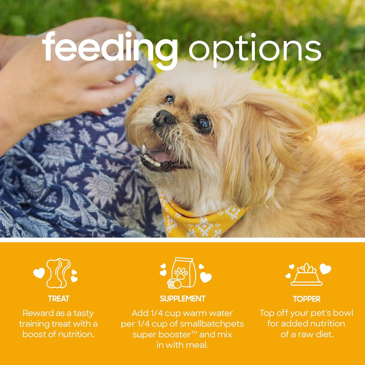 smallbatch Freeze Dried Dog Treats, Superfood Food Topper Pork Bites for Dogs & Cats, Probiotics