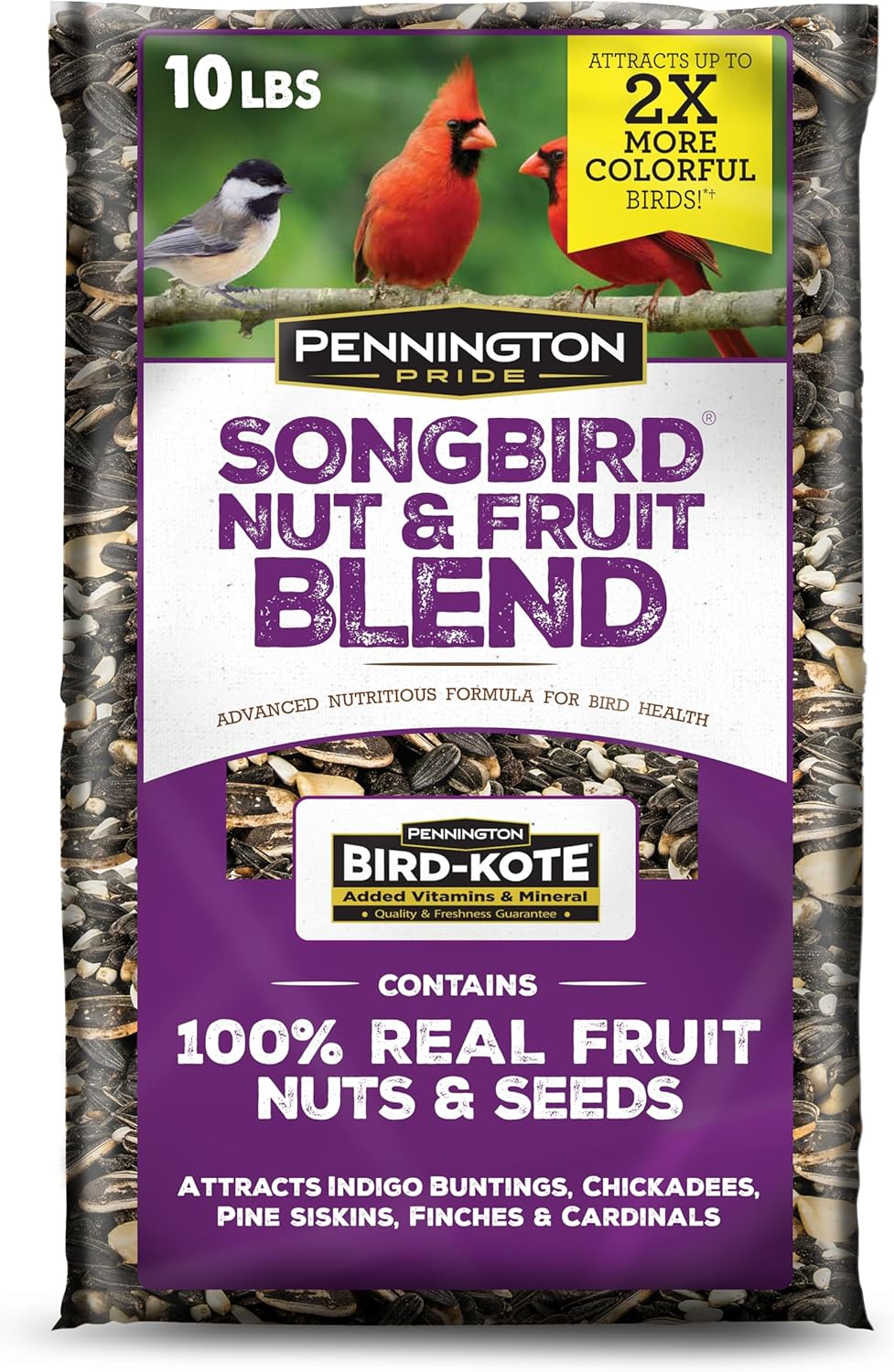 Pennington Pride Songbird Nut & Fruit Blend, Wild Bird Seed for Outside Feeders, Advanced Nutrition