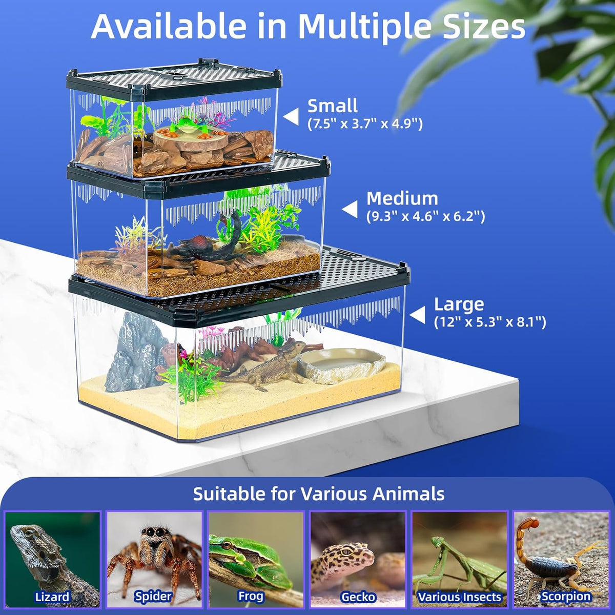 High-Transparency Reptile & Insect Enclosure Terrarium with Magnetic Door, Excellent Ventilation