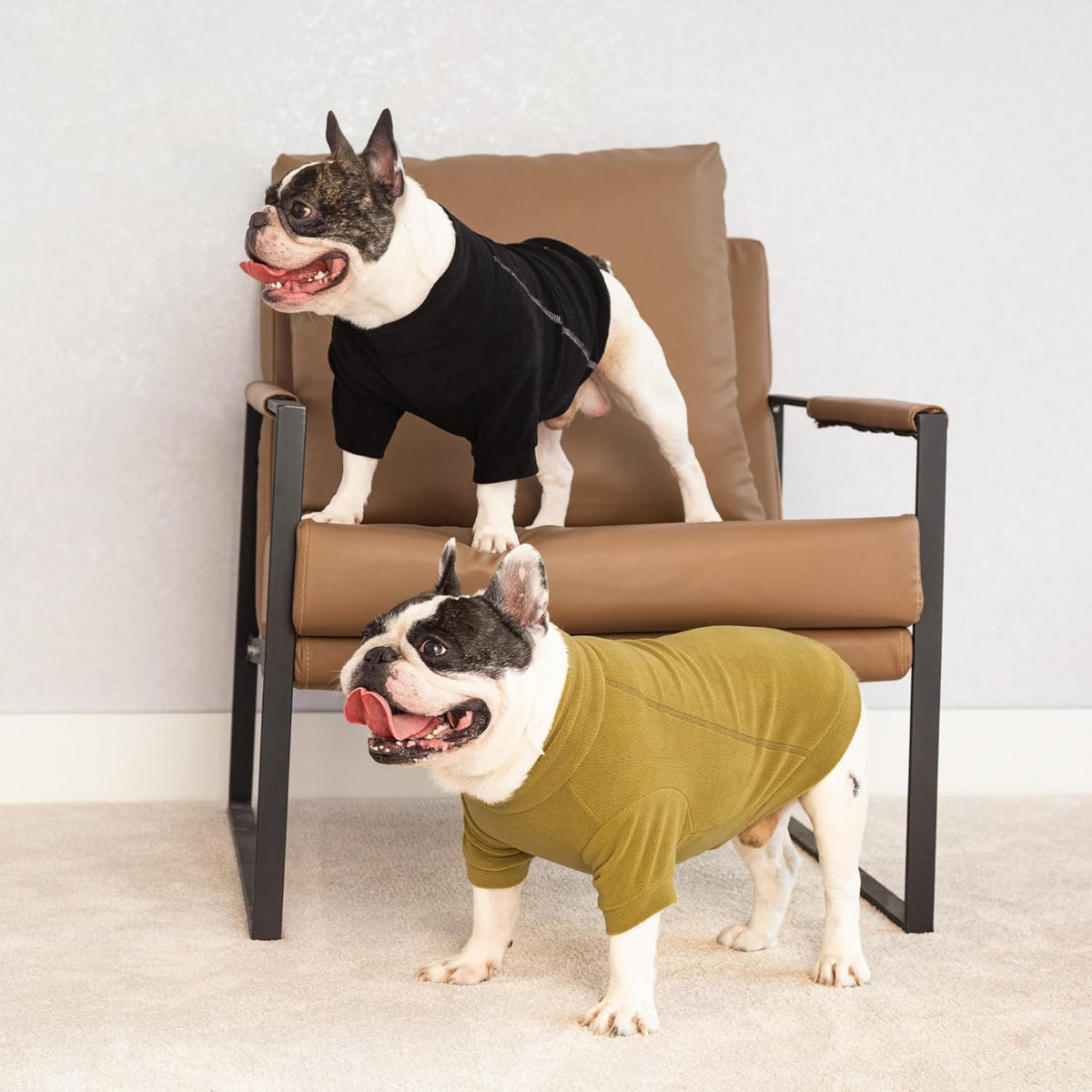 Fitwarm 3 Pack Classic Fleece Dog Sweater, Winter Clothes for Small Dogs Boy Girl, Turtleneck Dog