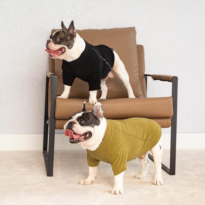 Fitwarm 3 Pack Classic Fleece Dog Sweater, Winter Clothes for Small Dogs Boy Girl, Turtleneck Dog