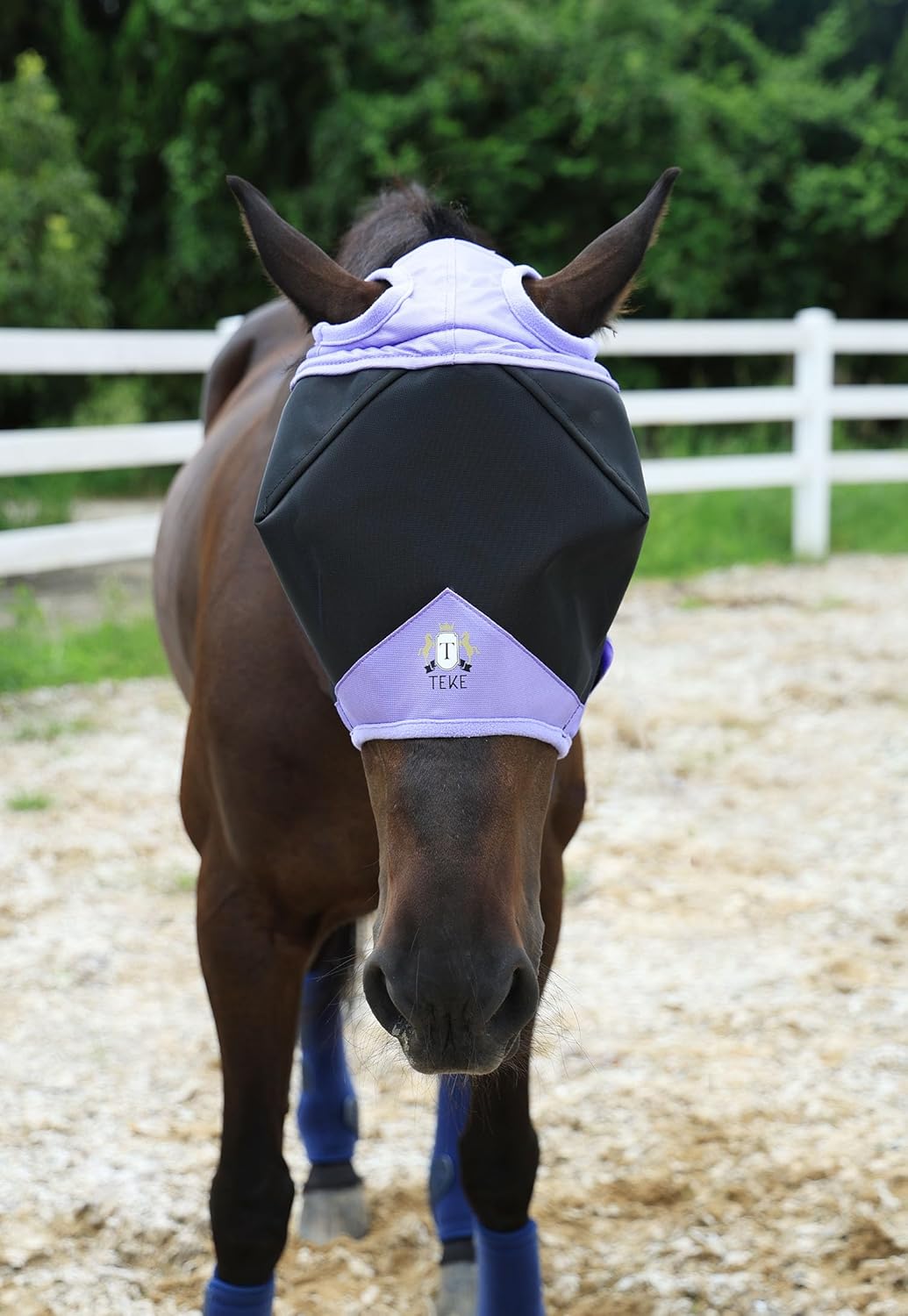 T TEKE Fine Mesh Horse Fly Mask w/No Ears, UV Blocking 3D Eye Visor with Extra Fleece Cushioned