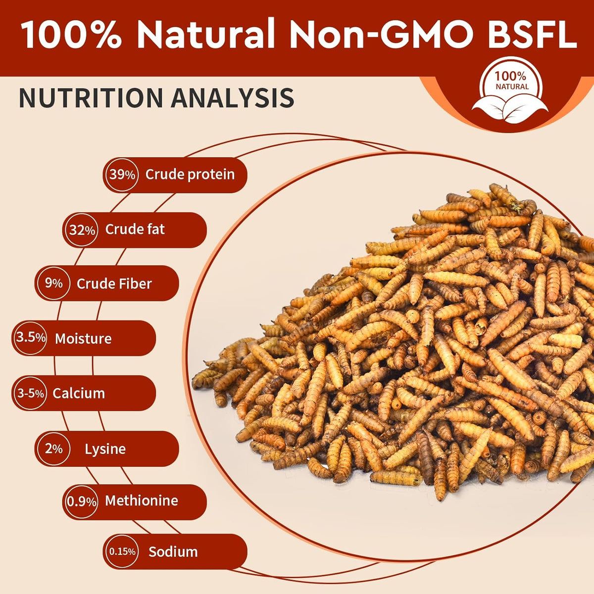 Dried Black Soldier Fly Larvae 10LB, 100% Natural Non-GMO, No Additives, Treat for Chickens