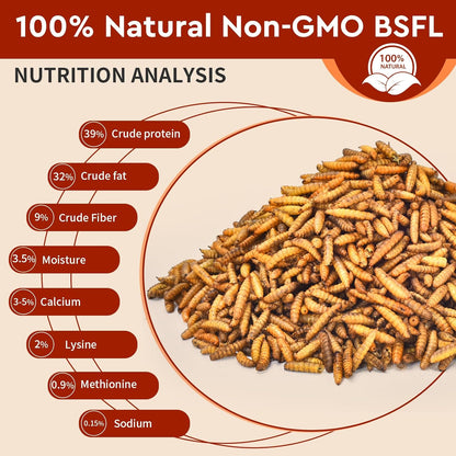 Dried Black Soldier Fly Larvae 10LB, 100% Natural Non-GMO, No Additives, Treat for Chickens