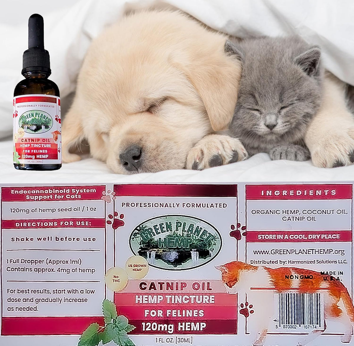 Pet Hemp Oil | Dogs and Cats | Catnip Oil | Green Planet Hemp | 120MG Organic Tincture | 100%