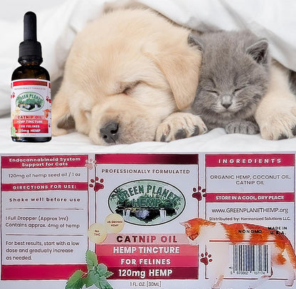 Pet Hemp Oil | Dogs and Cats | Catnip Oil | Green Planet Hemp | 120MG Organic Tincture | 100%