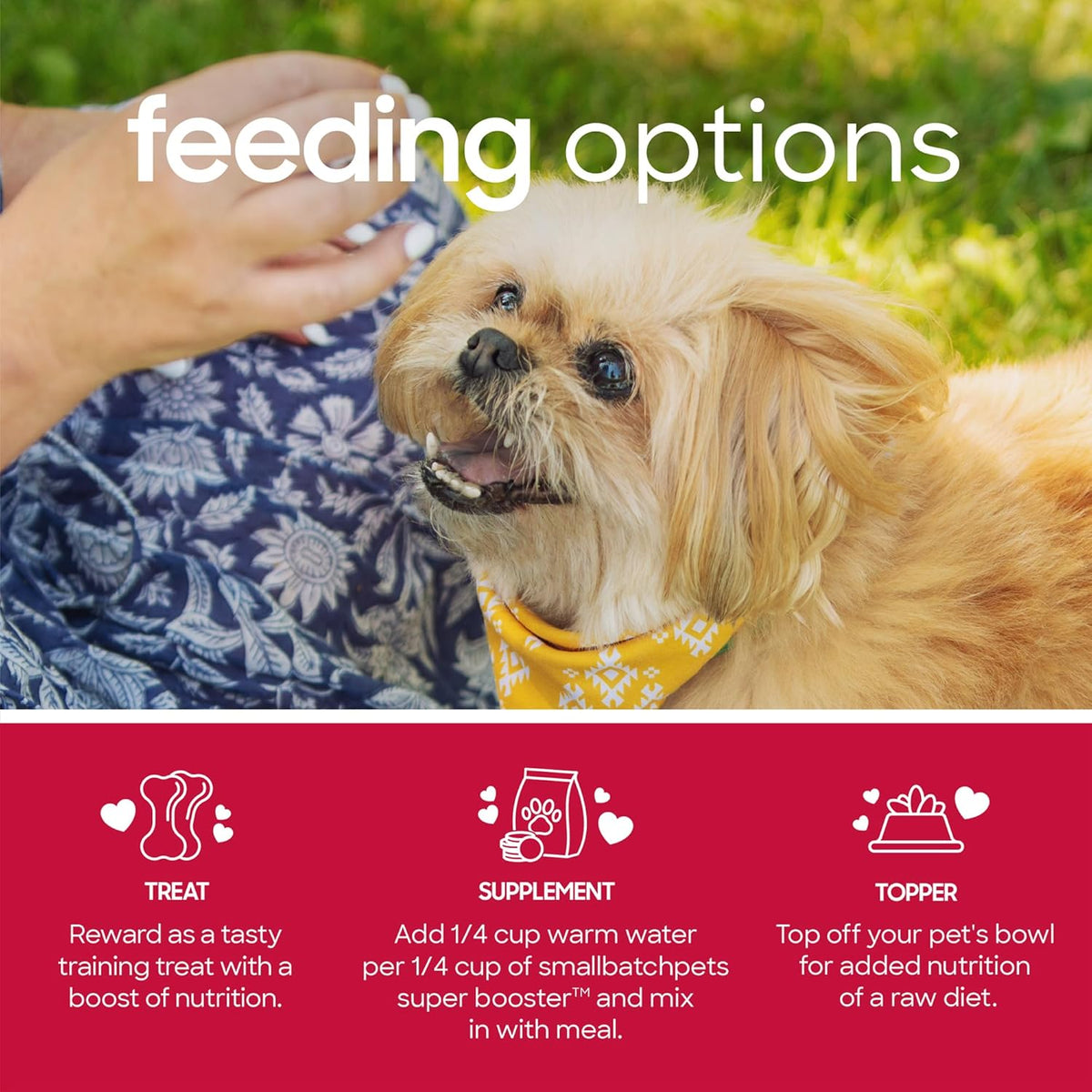 Smallbatch Freeze Dried Dog Treats, Superfood Food Topper Beef Bites for Dogs & Cats, Probiotics