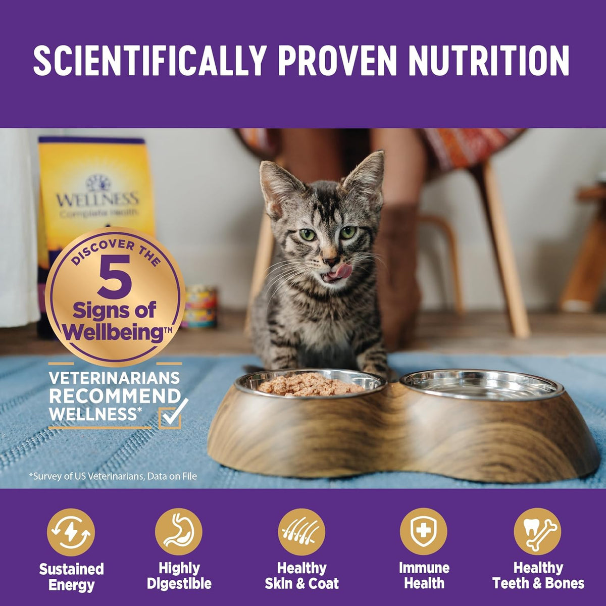 Wellness Complete Health Pate Adult Wet Cat Food, Natural, Protein-Rich, Grain Free, 3 Ounce, 24
