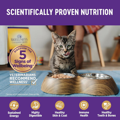 Wellness Complete Health Sliced Adult Wet Cat Food, Natural, Protein-Rich, Grain Free, 5.5 Ounce
