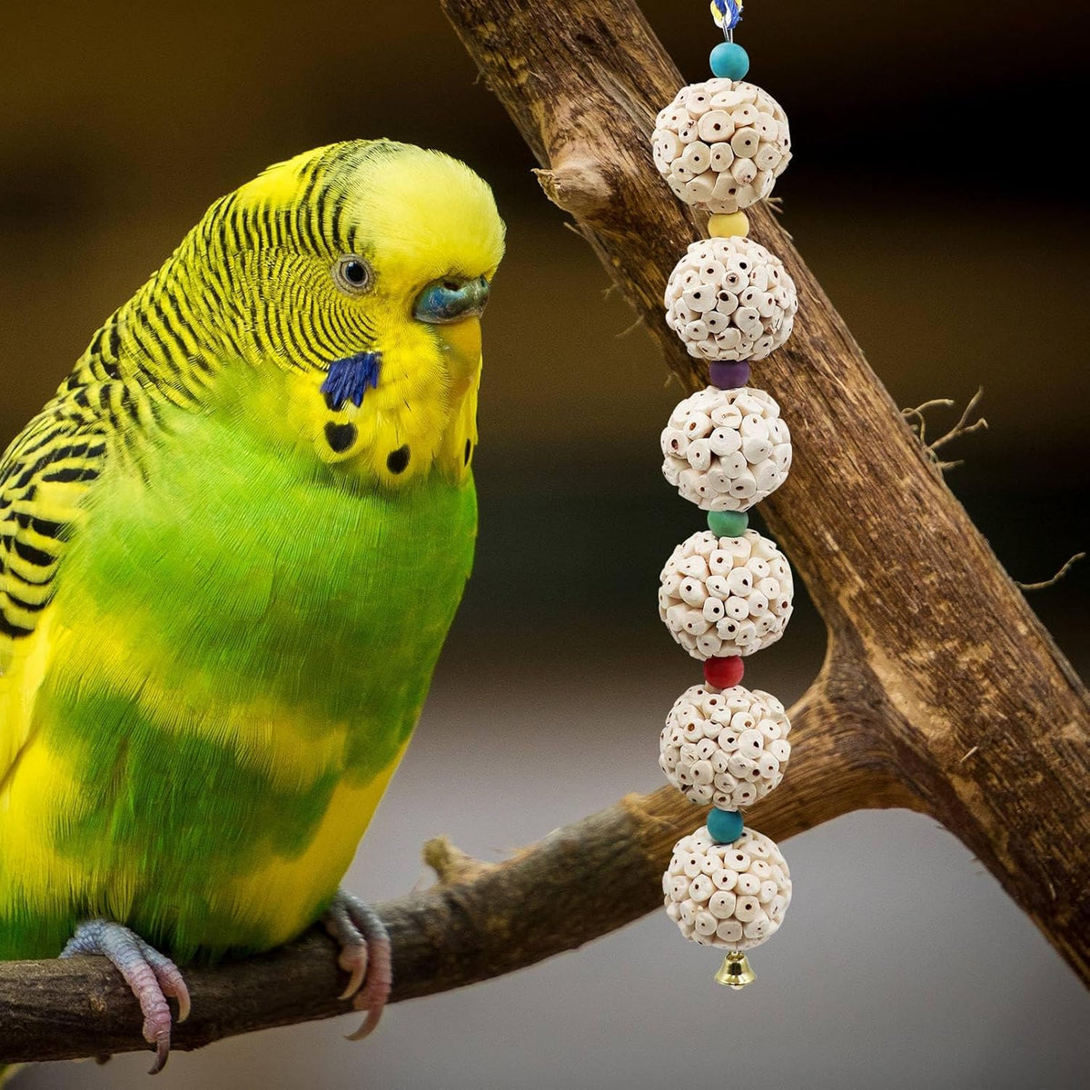 Bird Chewing Toy, Bird Sola Ball Toy with Bell, Bird Cage Accessories, Cage Toys for Cockatiel