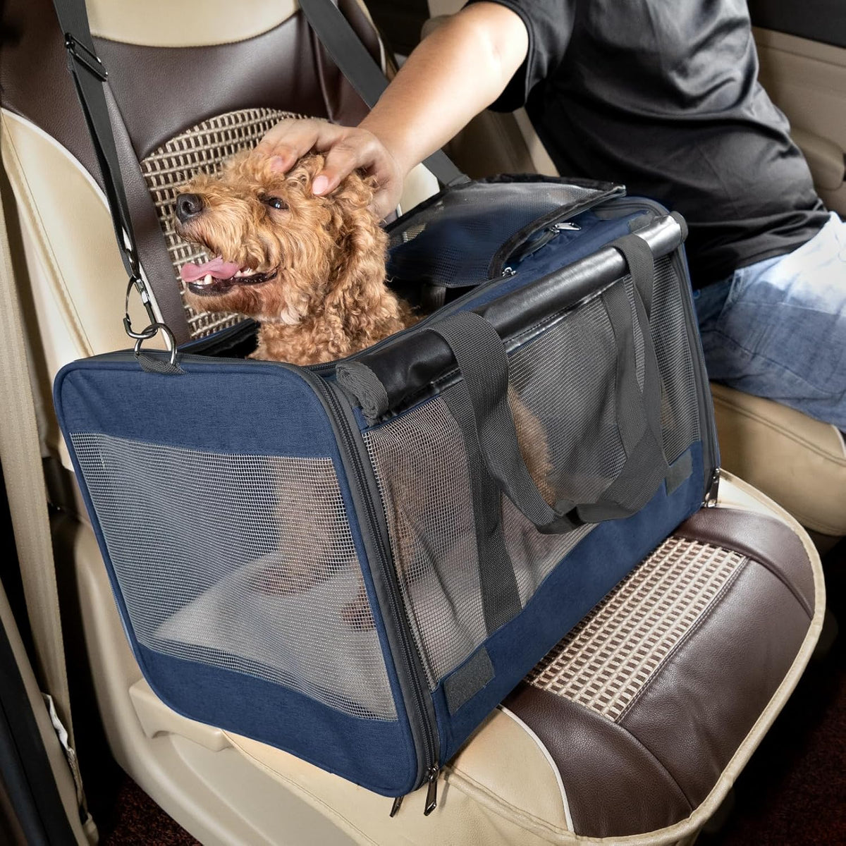 Medium Cat Carrier Large Cat 15 lbs+ Soft Pet Carrier Small Puppy/Ventilated 2 Kittens Car Travel