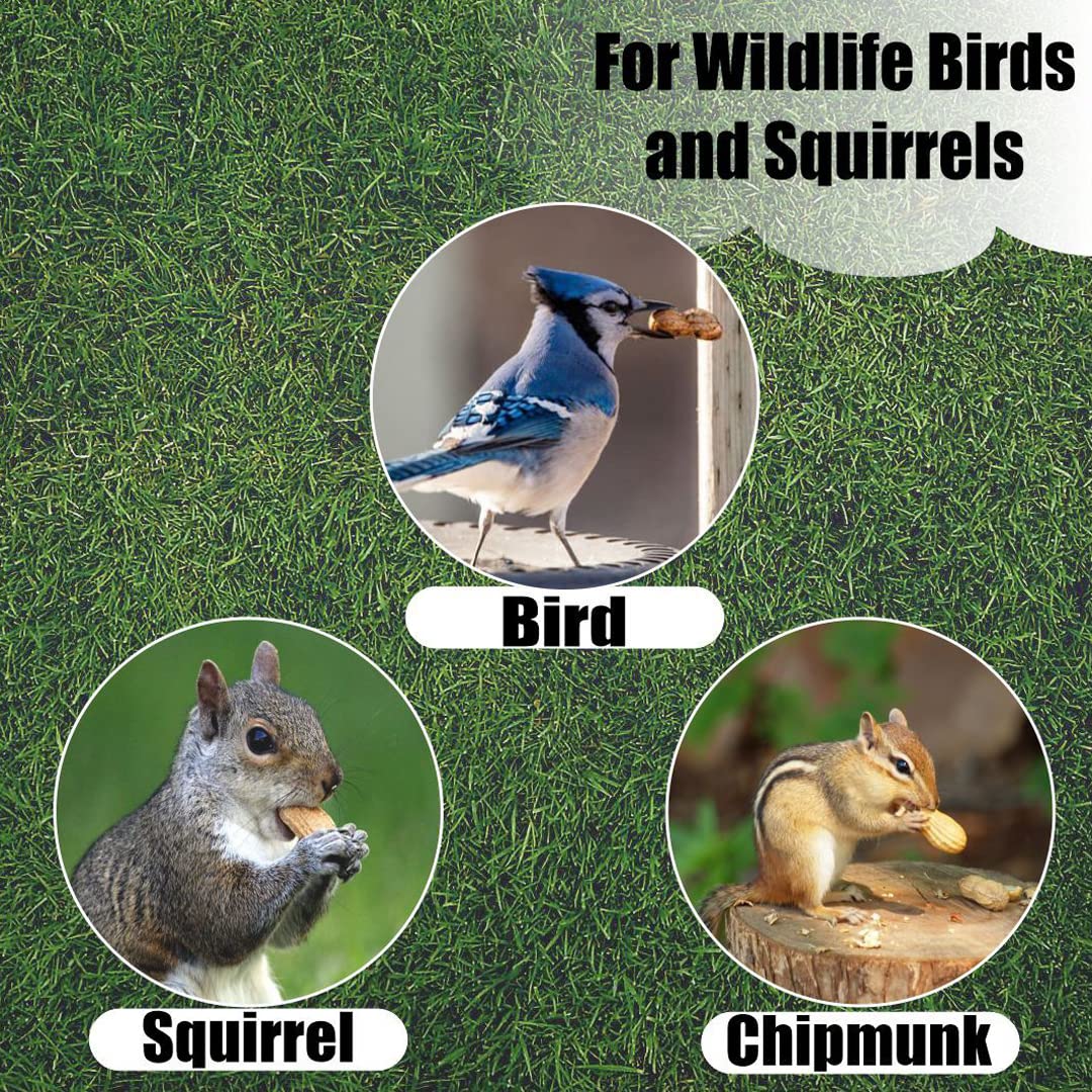 Old Potters Wildlife in-Shell Peanuts for Birds, Squirrels, and Wildlife. USA Grown Non-GMO Raw