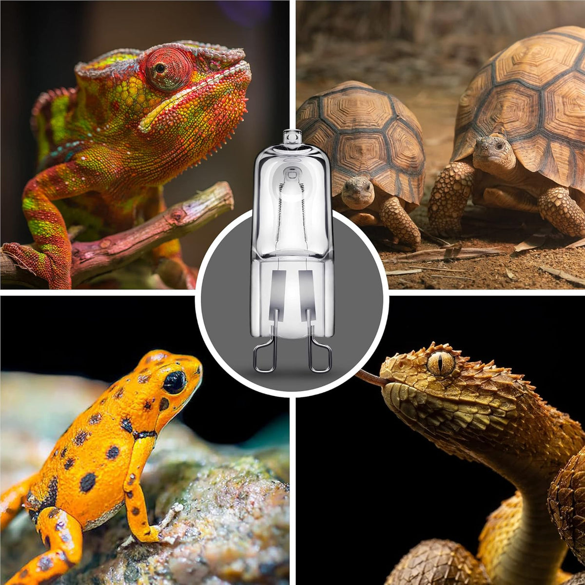 Briignite G9 Heat Lamp Bulbs for Reptile, Mini Reptile Light, Dimmable G9 Mini Heat Bulbs Warm