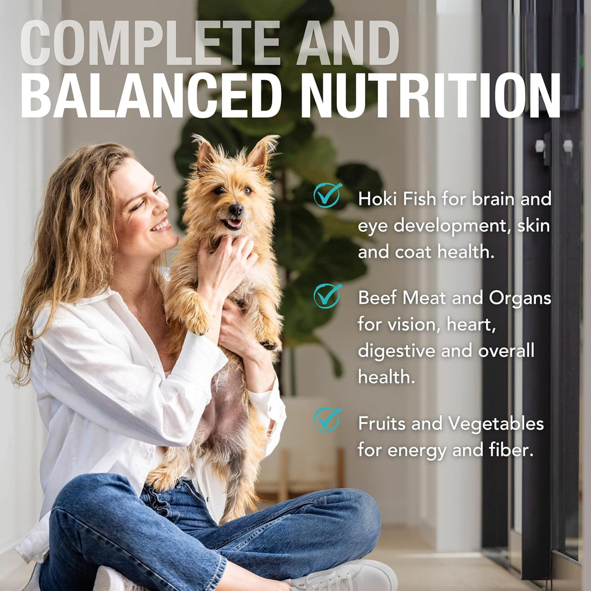 K9 Natural Wet Dog Food Pate, Hoki & Beef Feast, 13 Oz Cans (Pack of 12), Grain Free, Made in New