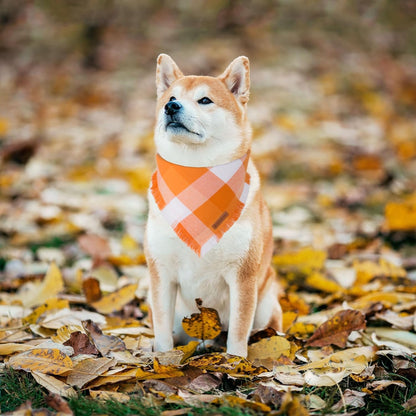 ADOGGYGO Fall Dog Bandanas, Halloween Thanksgiving Pet Bandana, Multiple Sizes Offered, Orange