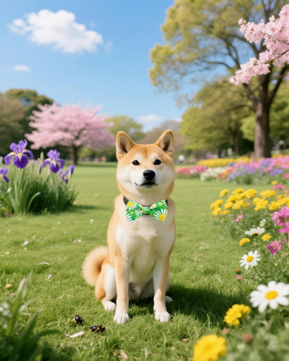 PET SHOW 10 Pack Floral Big Dog Bow Ties for Large Medium Dogs Sliding Collar Attachments Spring
